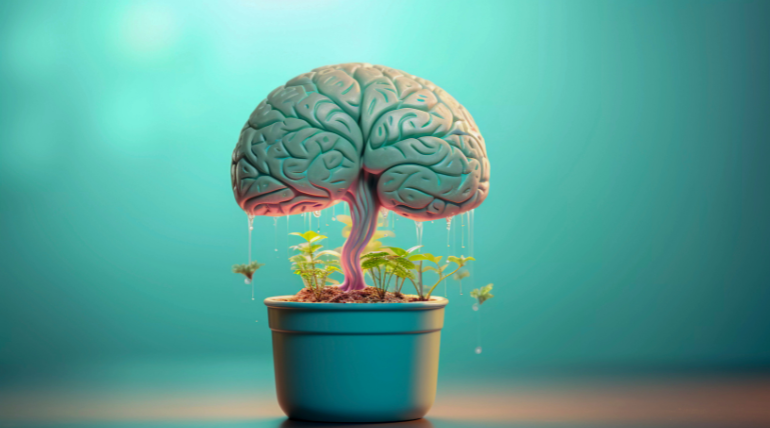 Boosting Brain Power: Essential Nutrients for Focus and Memory in the UAE