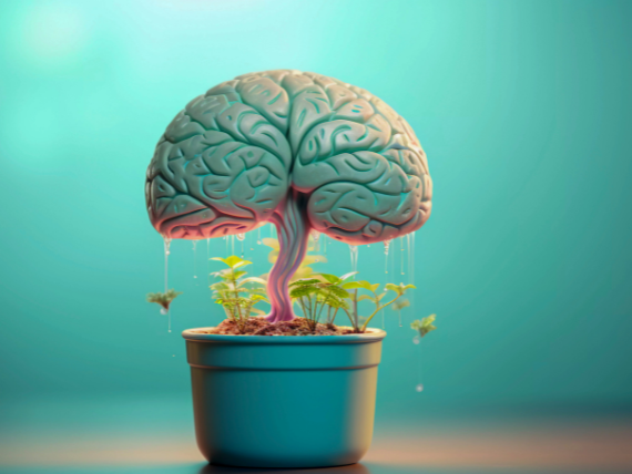Essential Nutrients for Focus and Memory in the UAE
